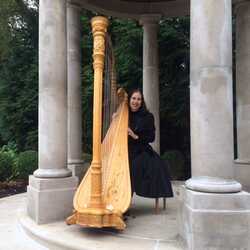 Karen Stern, Harpist, profile image