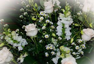 Blue & White Wrist Corsage - Belvedere Flowers of Havertown PA