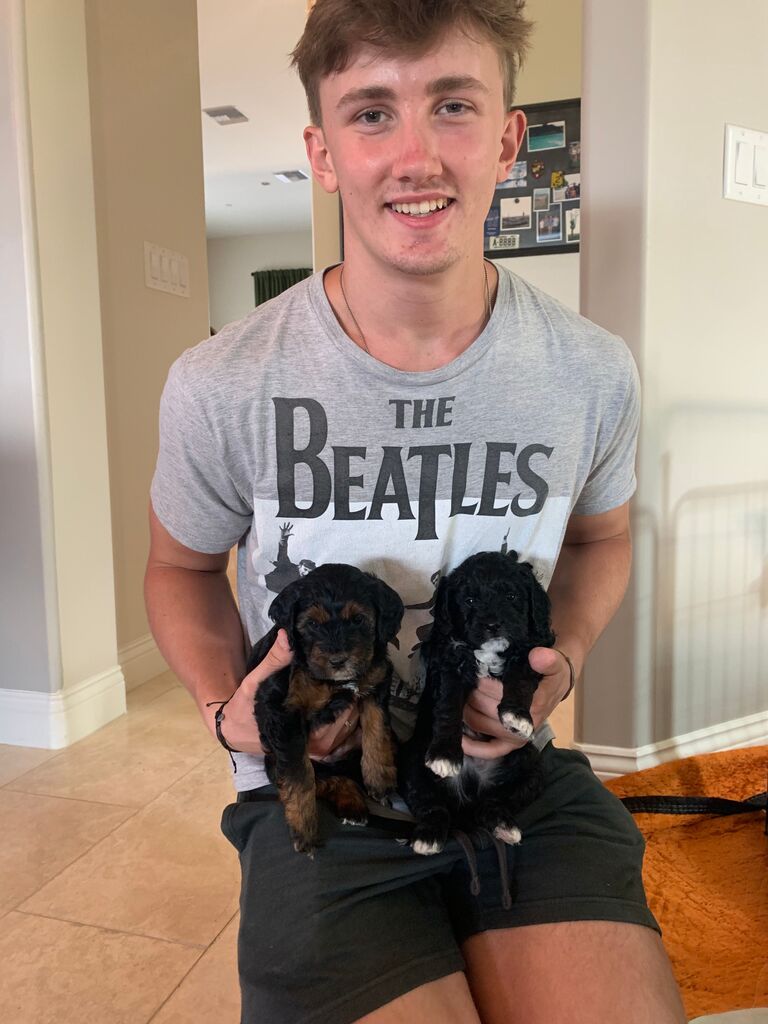 Meeting Charlie and Kona 