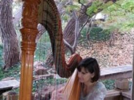 Maia Wright Jourde - Classical Harpist - Fort Worth, TX - Hero Gallery 1