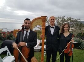 Dr. Ted Nichelson, Your Harpist - Harpist - Los Angeles, CA - Hero Gallery 4