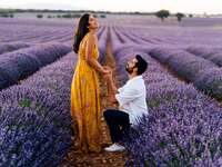 Man proposing to woman in lavender field