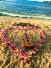 Simple Kona Beach Weddings Wedding Planners Kailua Kona Hi