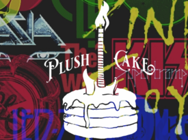 Plush Cake - Cover Band - Orlando, FL - Hero Gallery 1