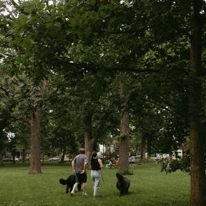 Gallery Photo 25
