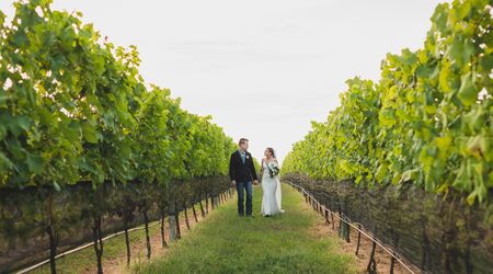 Sannino vineyard clearance