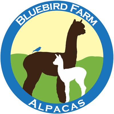 Bluebird Farm Alpacas | Rehearsal Dinners, Bridal Showers & Parties ...