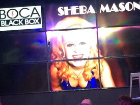 Sheba Mason - Stand Up Comedian - New York City, NY - Hero Gallery 3