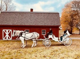 Liberty Farm - Pony Rides - Harrisville, RI - Hero Gallery 3