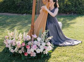 Modern Fairytale Wedding Harpist - Harpist - Las Vegas, NV - Hero Gallery 2