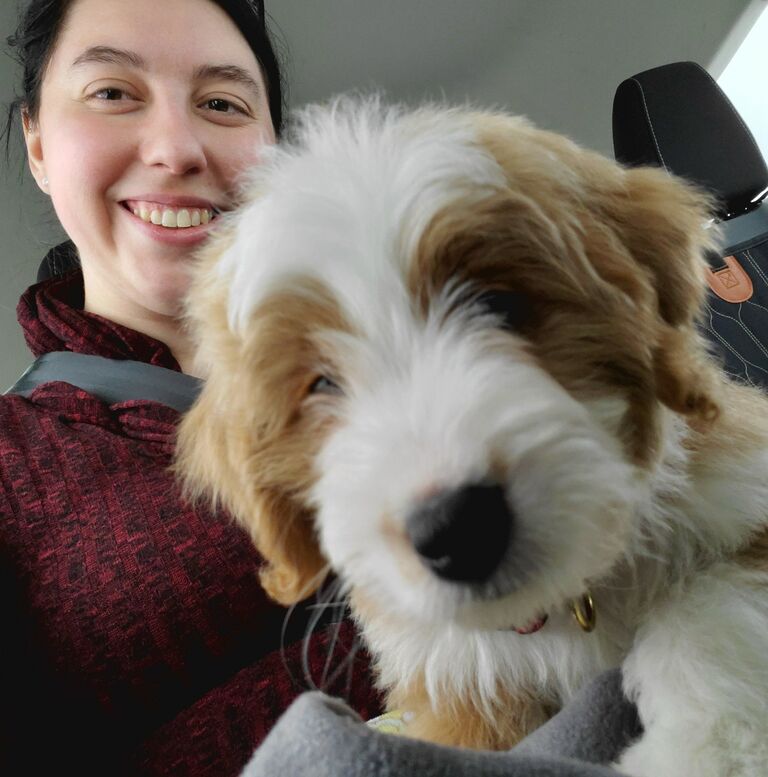 Puppy Alf joins our family!