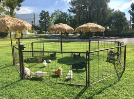 Mobile Zoo Of Southern California - Animal For A Party - San Gabriel, CA - Hero Gallery 2