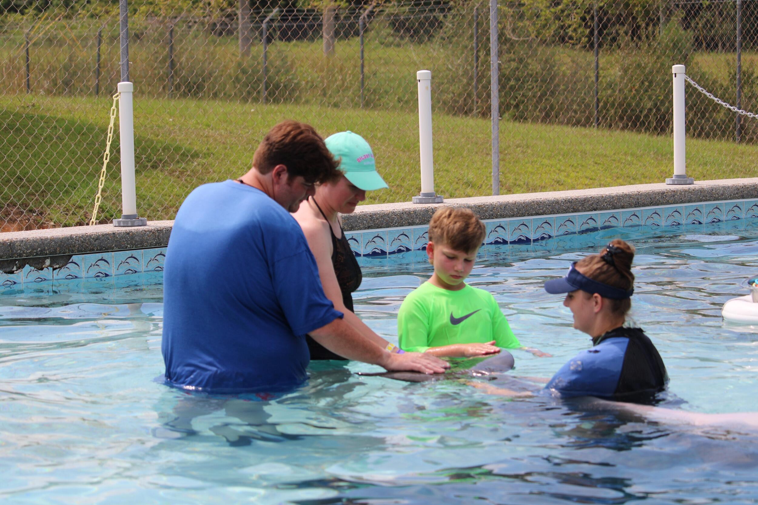 Dolphin Swim