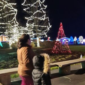 Gallery Photo 15