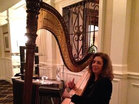 Harp Music By Lisa Handman (harpnotes) - Harpist - Alpharetta, GA - Hero Gallery 4