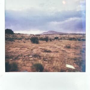 Gallery Photo 11