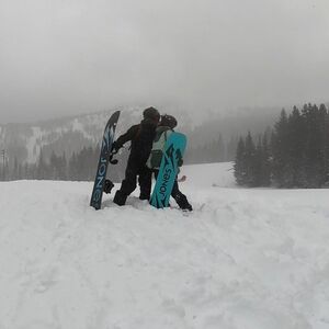 Gallery Photo 15