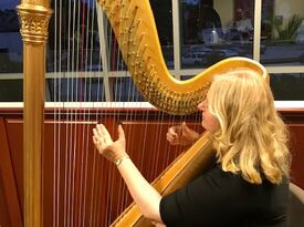 Beautiful Harp Music - Harpist - Reading, PA - Hero Gallery 2