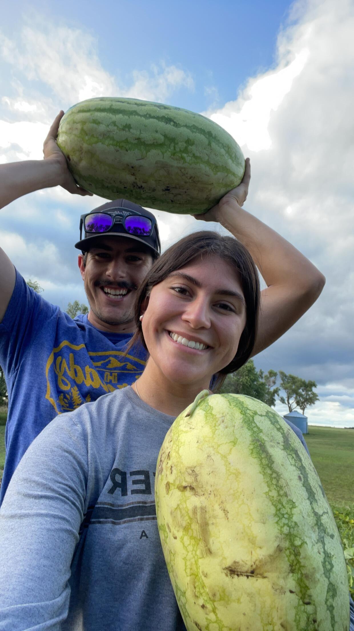 Look at the size of our watermelons! First harvest from our garden