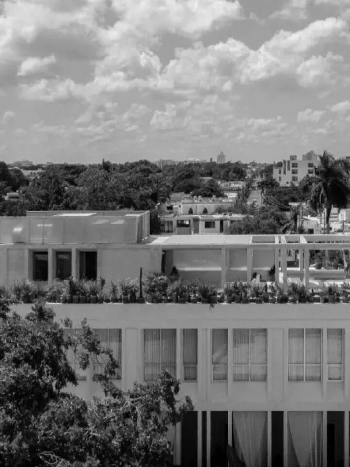 The couple officially tie the knot. On this date the couple will meet to say their "I do's" at the beautiful hotel Sureño in Merida, Yucatan, Mexico. From their first trip to Mexico, they knew there was no better place to get married than the beautiful country of Mexico and they hope you all can be a part of this special memory.