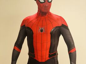 Metro DC Spider-Man Entertainer - Costumed Character - Bristow, VA - Hero Gallery 2