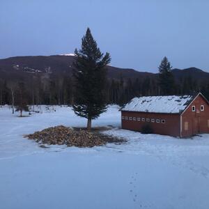 Gallery Photo 25