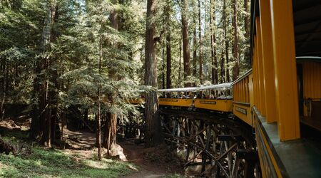 Roaring Camp Railroads Reception Venues The Knot