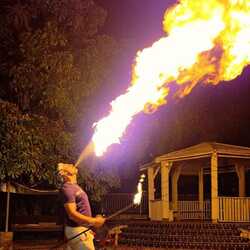 Roger the Dragon Fire Show, profile image