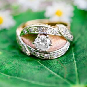 Gallery Photo 32