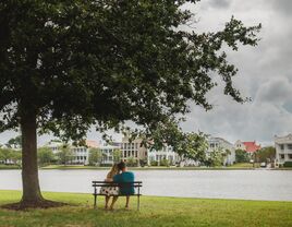 Couple sitting on a park bench underneath a tree, overlooking the water.