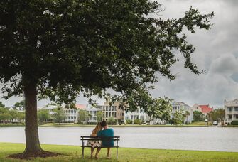 Couple sitting on a park bench underneath a tree, overlooking the water.