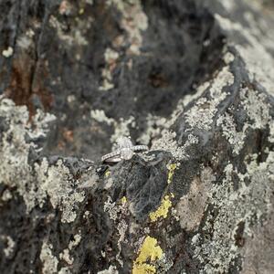 Gallery Photo 29