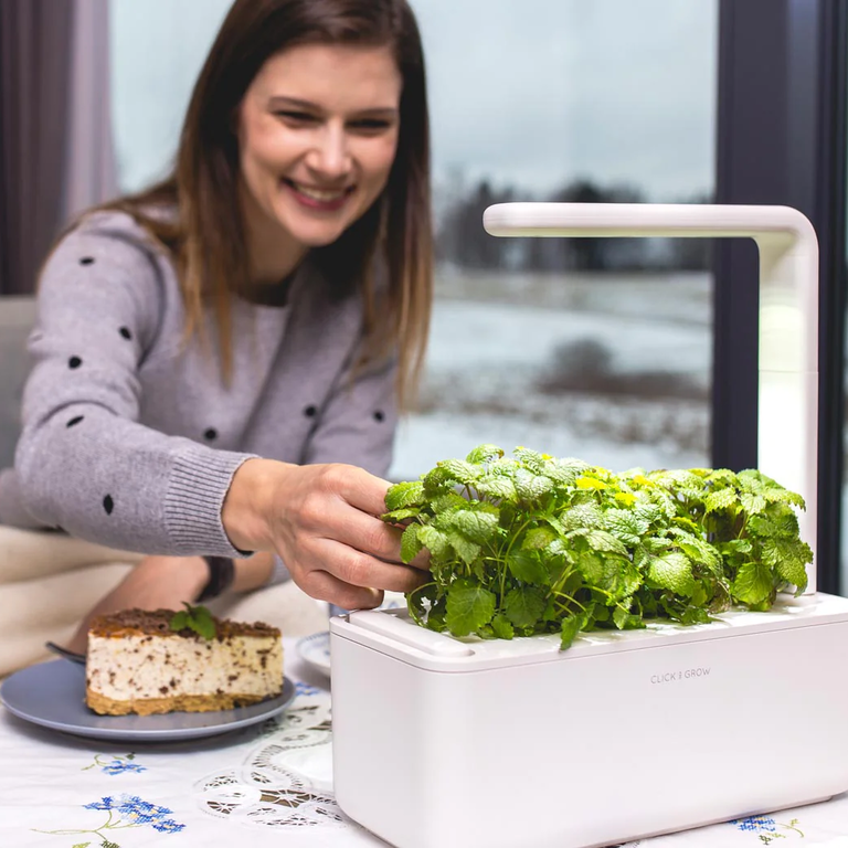 Indoor Smart Garden from Click & Grow for your 49th wedding anniversary
