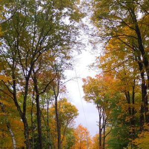 Gallery Photo 39
