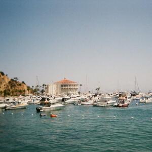 Gallery Photo 199