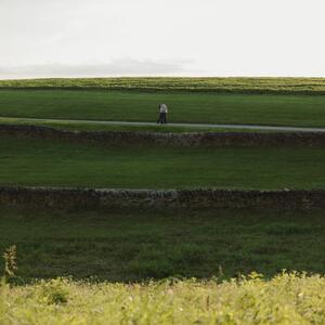 Gallery Photo 6