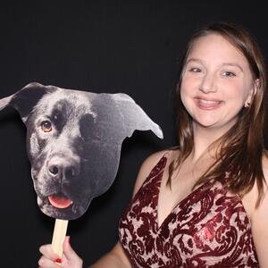 Gallery Photo 29