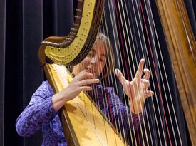 Jane Hogarth Minnis - Harpist - Norwalk, CT - Hero Gallery 1