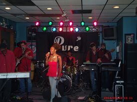 Pure Band & Show - Variety Band - Richmond, VA - Hero Gallery 2