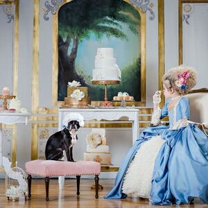 Gallery Photo 3