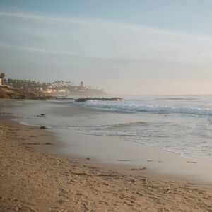 Gallery Photo 29