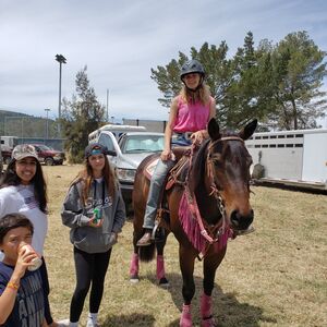 Gallery Photo 69