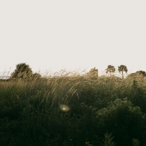 Gallery Photo 41