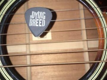 The Dying Breed Band - Americana Band - Naperville, IL - Hero Main