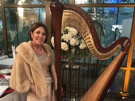 Susan Schnorr HARPIST  - Harpist - Conroe, TX - Hero Gallery 2