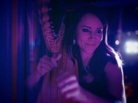 Erica Messer, Harpist, Singer, Pianist - Harpist - San Mateo, CA - Hero Gallery 3