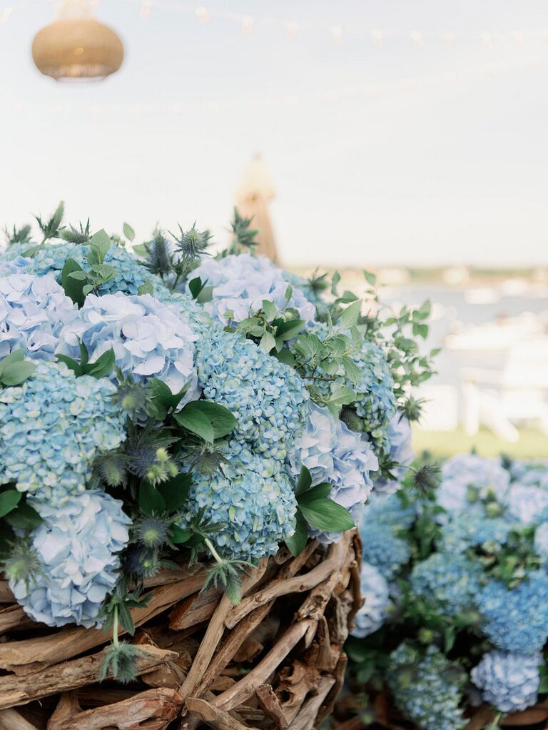 Preppy blue hydrangeas as wedding flowers