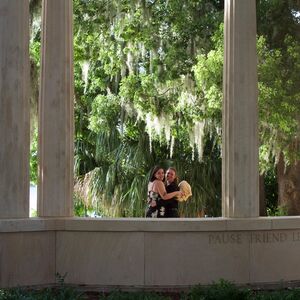 Gallery Photo 19