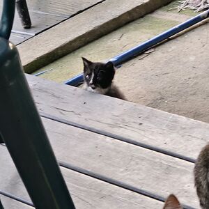Gallery Photo 23