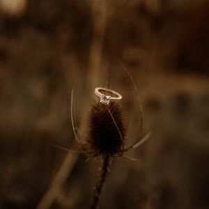 Gallery Photo 8